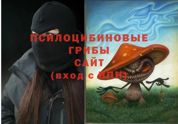 ECSTASY Верея